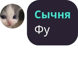 Sticker котятушки - 0