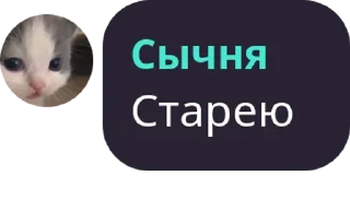 Sticker котятушки - 5