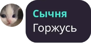 Sticker котятушки - 9