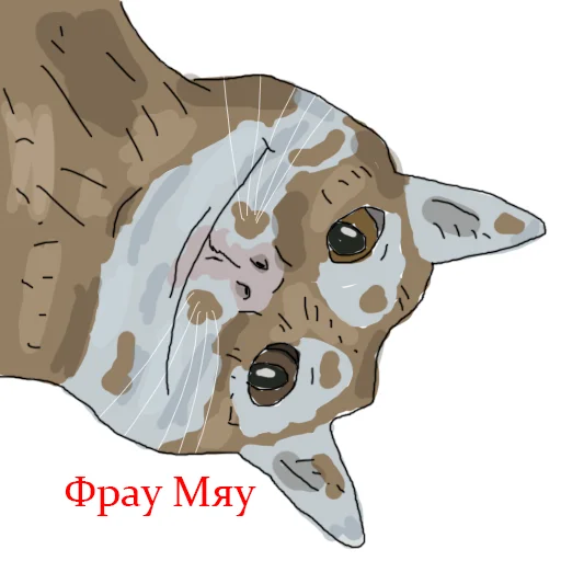 Sticker dikayaptica - 9