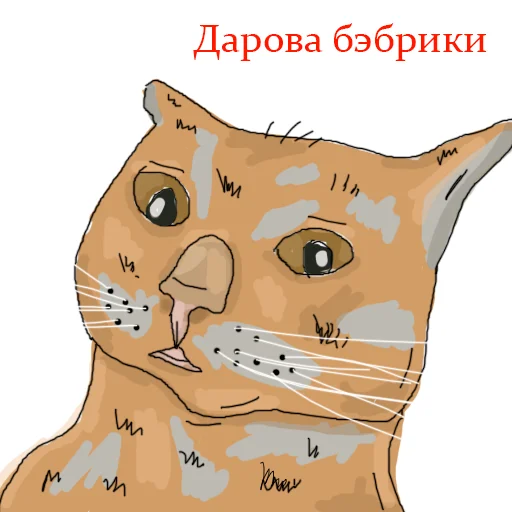 Sticker dikayaptica - 4