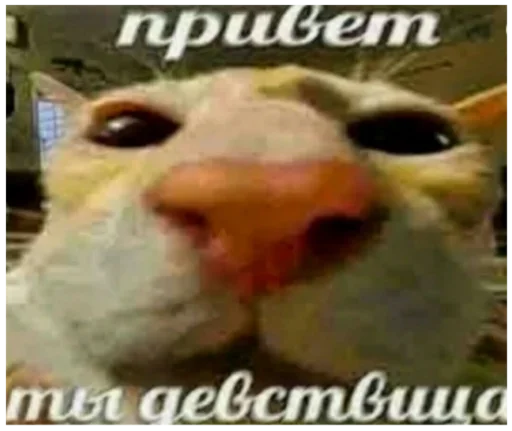 СМС плакат книга