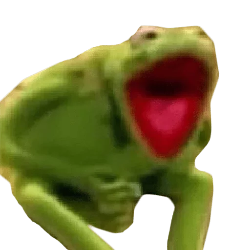 лягушка амфибия животное