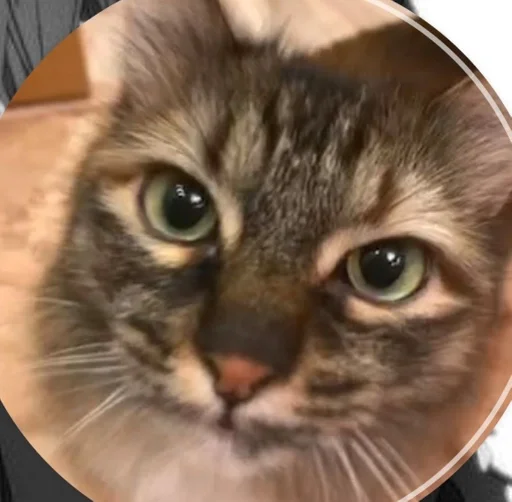 Sticker dilblin 2.0 от никуши :: @fStikBot - 6