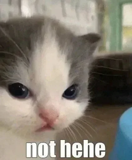 Sticker огурец?) :: @fStikBot - 7