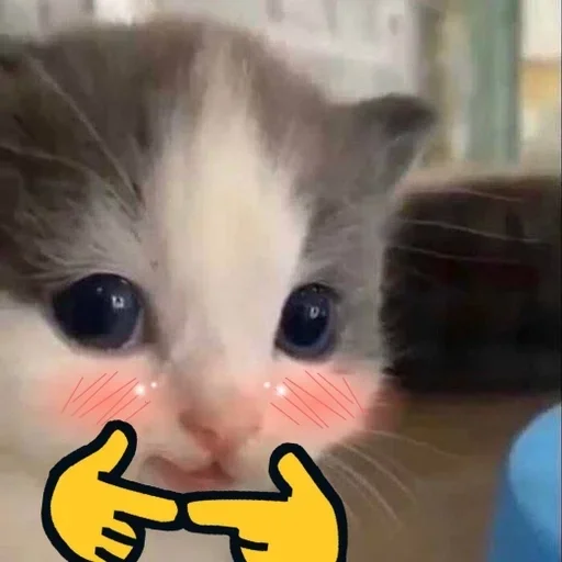 Sticker огурец?) :: @fStikBot - 6