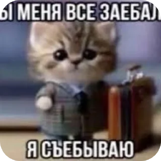 Sticker Школа и алаша - 4