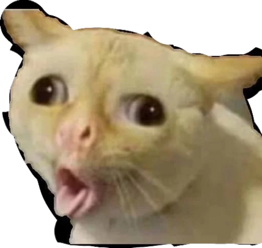 Любимая Диана - 