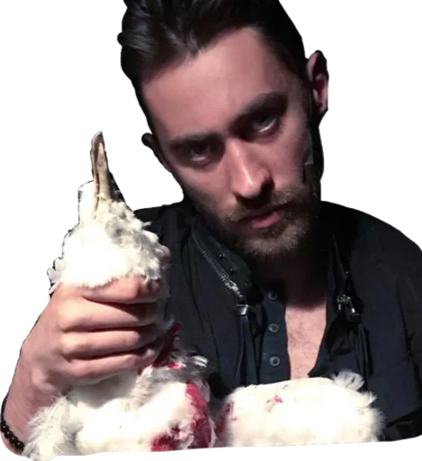 Sticker dimachebotarevthebest - 1