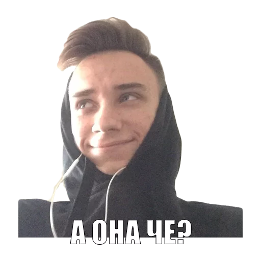 Стикер хохол-пак - 10