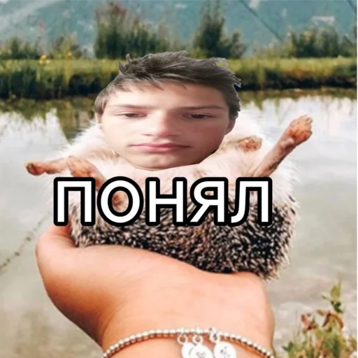 Sticker Димусик - 4