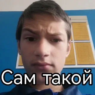 Sticker Димусик - 2