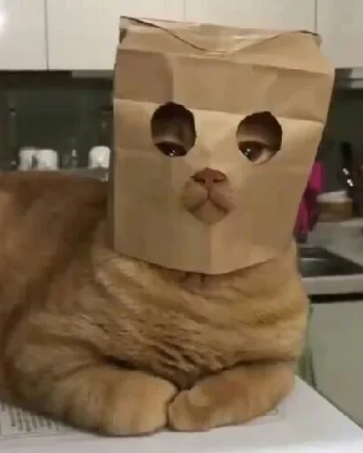 Стикер diniskkkkkaaa - 6