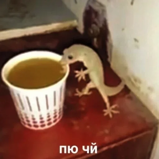 Стикер Дипнутый пак by @fStikBot - 6