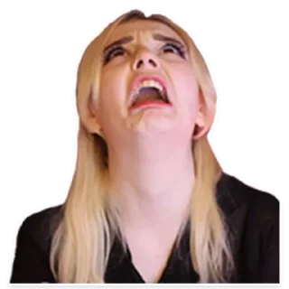 Sticker Diraccoonr - 0