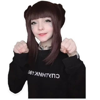 Sticker Diraccoonr - 1