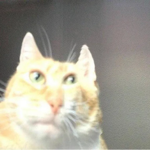 Стикер Dirigible - 11