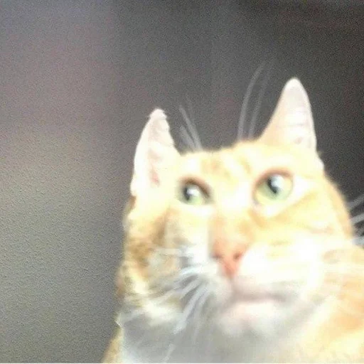 Стикер Dirigible - 3