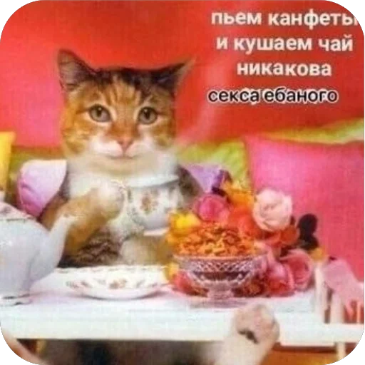 Стикер diriktoryoon - 1