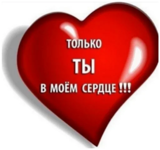 heart valentine's day red