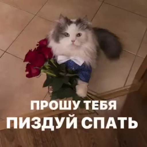 Sticker discussingtheweat - 1