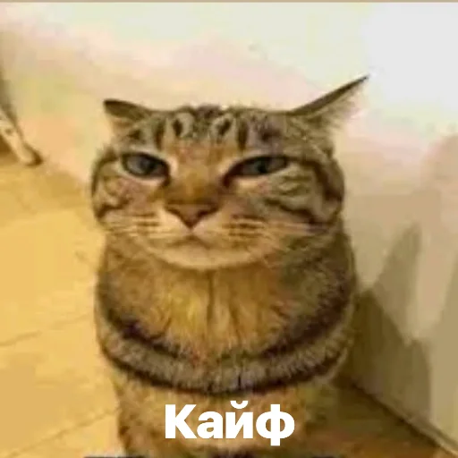 Sticker discussingtheweat - 1