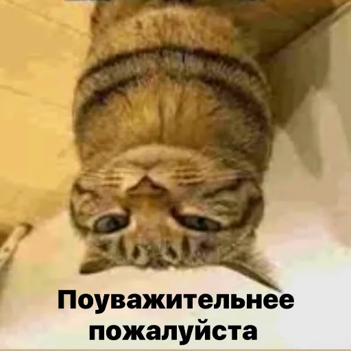 Sticker discussingtheweat - 1