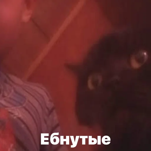 Sticker discussingtheweat - 1