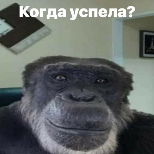 Sticker discussingtheweat - 1