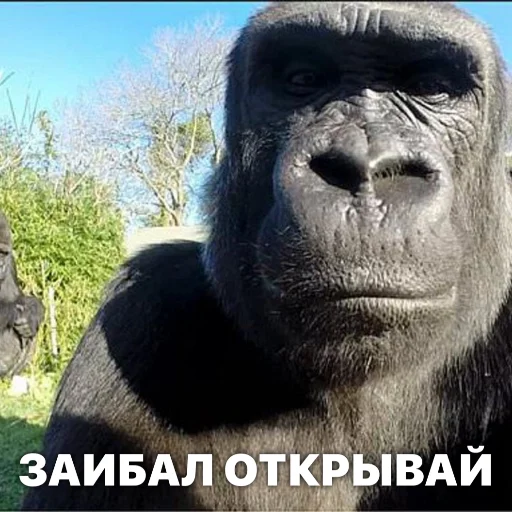 Sticker discussingtheweat - 1