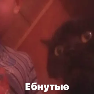 Sticker Discussing the weather - 9