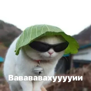 Sticker Discussing the weather - 11