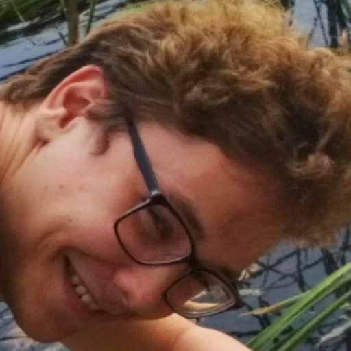 Стикер autocollants stupides de gens stupides - 11