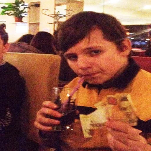 Стикер autocollants stupides de gens stupides - 8