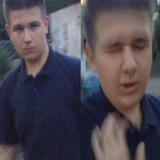 Стикер autocollants stupides de gens stupides - 6