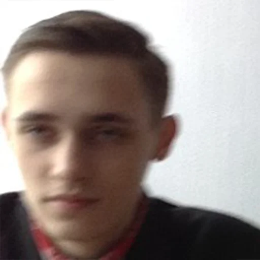 Стикер autocollants stupides de gens stupides - 1