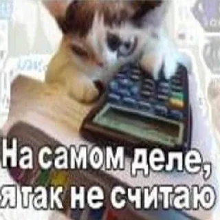 Sticker Distortion (@CTuKOCbl) - 1