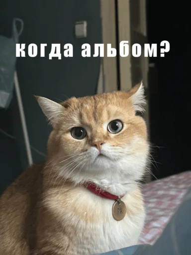 Стикер dityavetrovff - 1