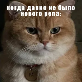 Sticker когда новый фф рэп - 1