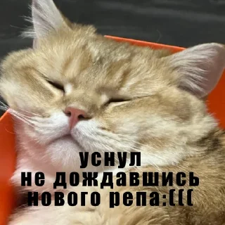 Sticker когда новый фф рэп - 3