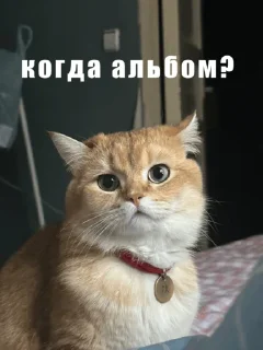 Sticker когда новый фф рэп - 9