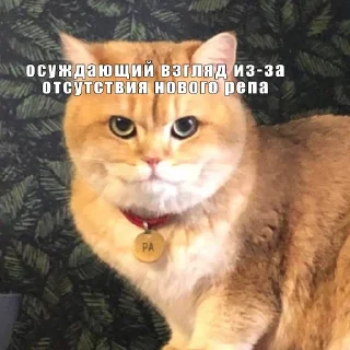 Sticker когда новый фф рэп - 2