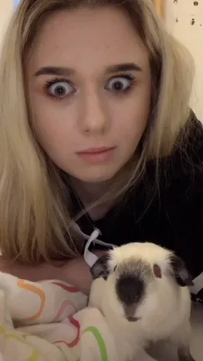 Человек млекопитающее животное