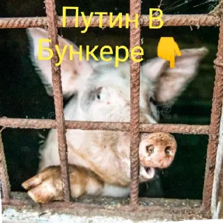 Стикер Слава ДСУ-17-я - 3