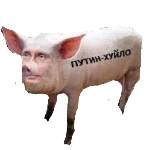 Слава ДСУ-17-я - 