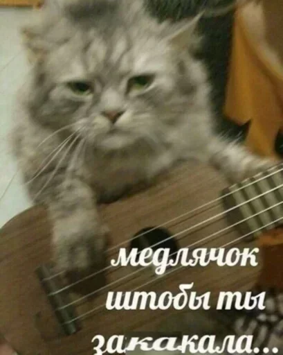 Sticker djSXJE_by_stickers_stealer_bot - 1