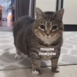 Стикер @sexstikkers - 1