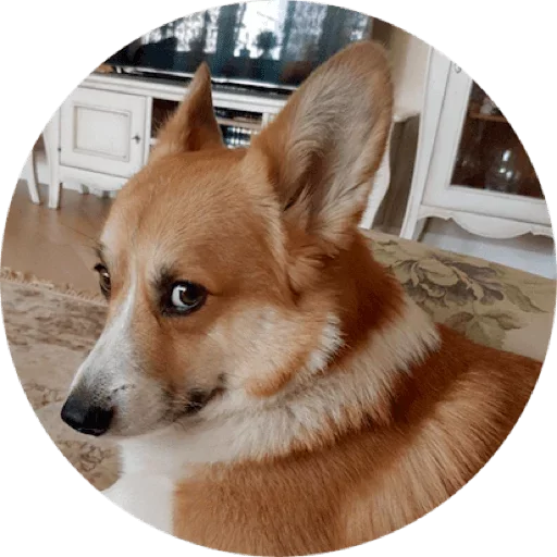 django @stickersb2b - 