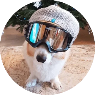 Стикер django @stickersb2b - 3