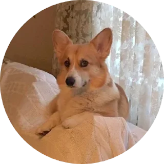 Стикер django @stickersb2b - 7